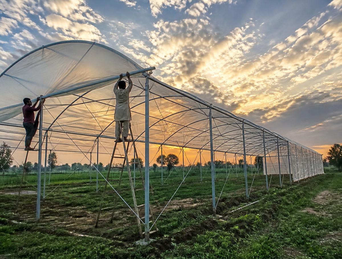 Polyhouse Construction by Best Deal Agro Tech in Karnal, Haryana